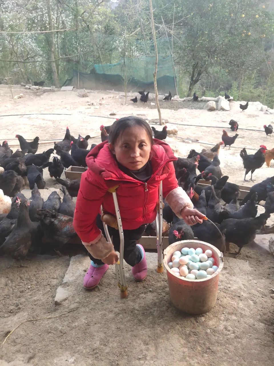 DƬ